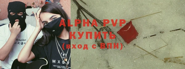 PSILOCYBIN Семёнов